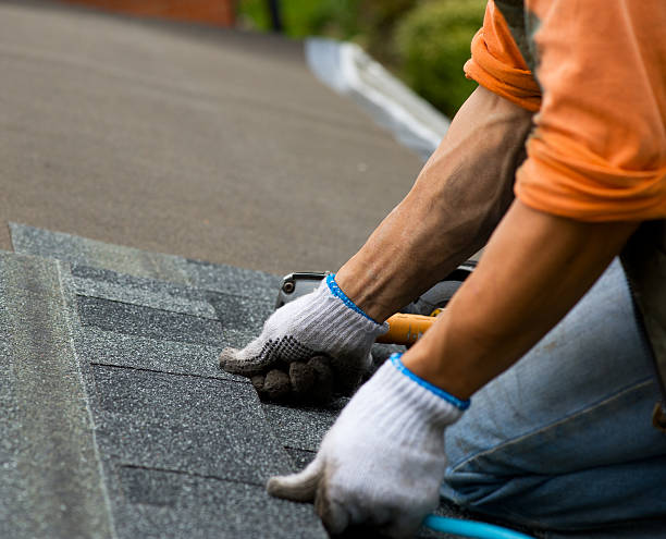 Best Roof Gutter Cleaning  in Columbus, MS