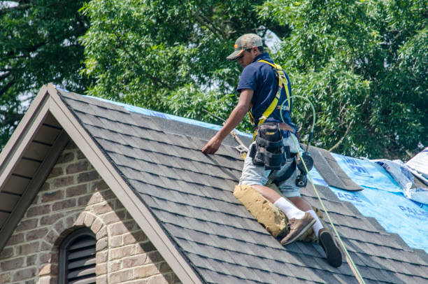 Best Shingle Roofing Installation  in Columbus, MS